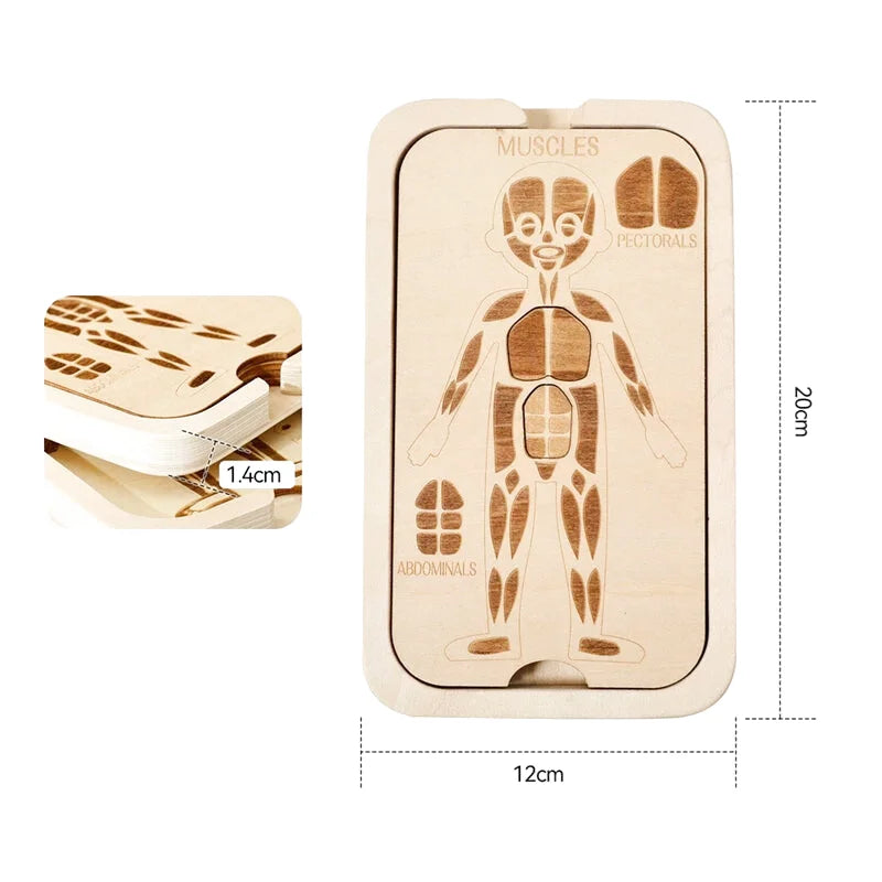 Puzzle en Bois Corps Humain