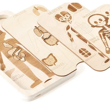Puzzle en Bois Corps Humain